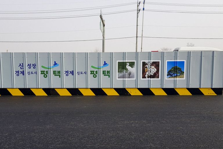 실사