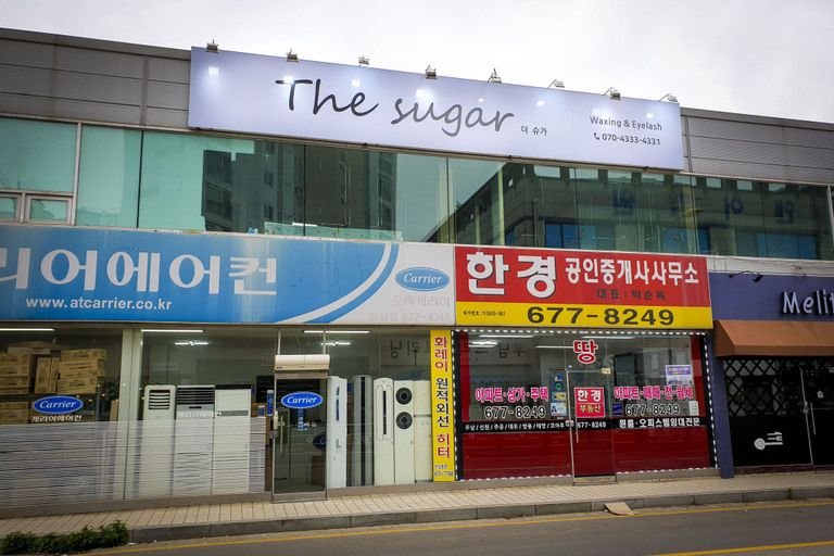 플렉스+투광등