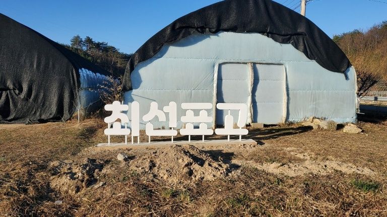지주식 통갈바채널